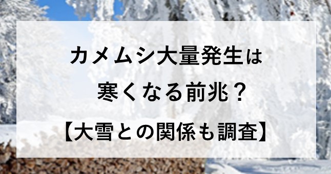 カメムシ 大量発生 寒くなる