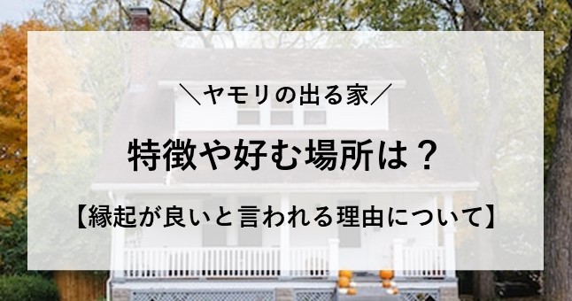 ヤモリの出る家の特徴や好む場所は?縁起が良いと言われる理由も調査