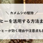 カメムシ 駆除 コーヒー