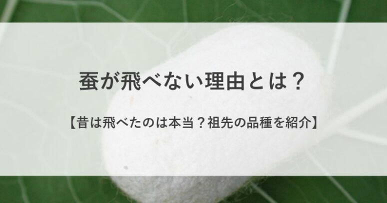 蚕が飛べない理由